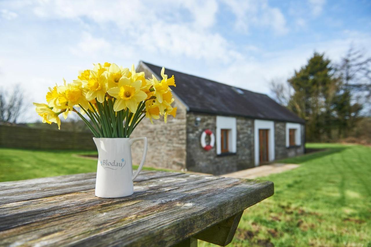 Penuwch Boathouse- Lakeside Rural Cottage Ideal For Families With Indoor Heated Pool Carmarthen Exterior photo